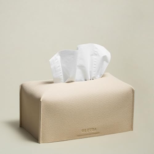 OLETHA Aesthetic Rectangle Tissue Box Cover, High Flat Box Tissues Holder Rectangular, Canvas Grain, Greige