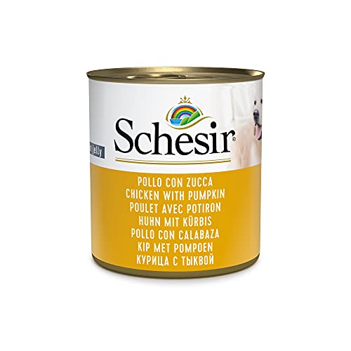 Schesir Hundefutter Für Große Hunde – Schinkengeschmack, 12 Kg Sack, Vollwertige Ernährung