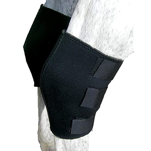 Intrepid International Breathable Neoprene Hock Boots for Horses - Superior Support and Comfort for Equine Athletes - One Size Fits Most, Sold in Pairs, Black