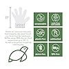 100% Compostable Gloves Disposable Latex Free [One Size Fit Most, 100CT] Food Service Disposable Gloves, Food Prep Cooking Gloves, Eco-Friendly, by Earth's Natural Alternative,Off-white #1