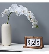 Firminana Desk Calendars for Office Flip Calendar,Perpetual Desktop Calendar 2022 Cute Small Flip...