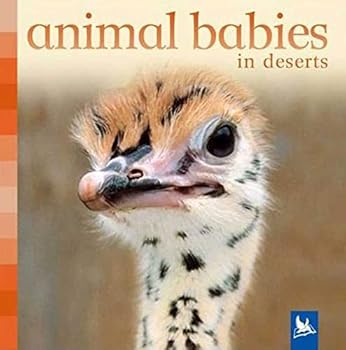 Board book Animal Babies in Deserts Book