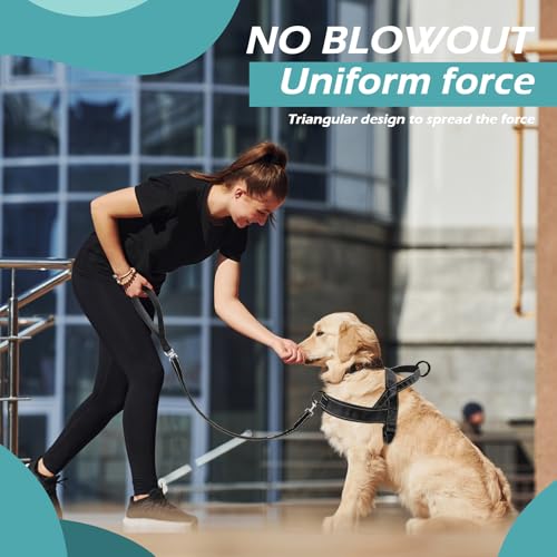 Arnés para perros con correa, correa antitracción y arnés, sin enredos, correa doble, arnés reflectante ajustable, para pasear y entrenar para perros de tamaño mediano (L) - imagen 6
