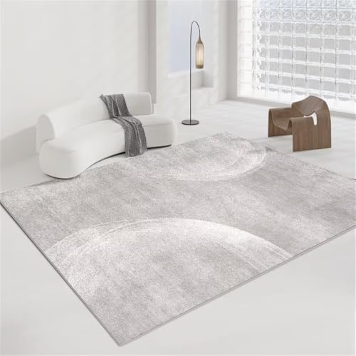 Tapis de salon a motif simple et accessoires entree interieur