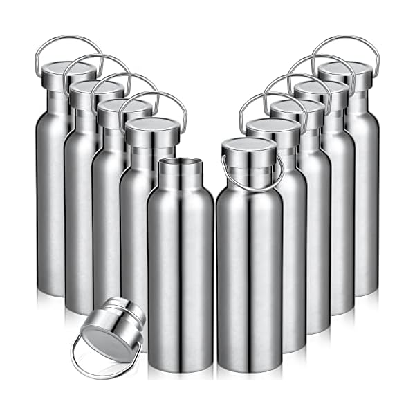 10 Pack Insulated Water Bottle 20 oz Stainless Steel Sport Bottle Bulk Double Wall Metal Reusable Flask with Leakproof Lid of Handle for Travel Cyclists School Gift(Silver)