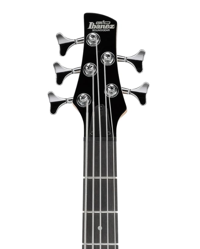 Ibanez Bass Guitar SR Gio series 4 string GSR185-CA : Amazon.in