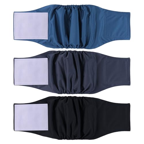 male dog wraps