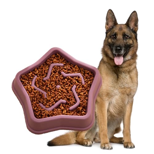 Image of Durable Slow Feeder Bowl for Dogs| Anti-Choke Non-Slip Pet Feeding Base and Easy to Clean| Dish Promotes Healthy Eating| Reduces Bloating and Digestive Issues (Purple)