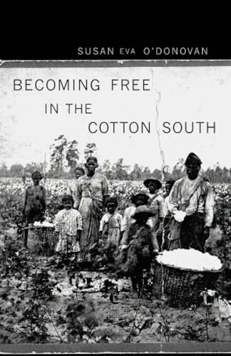 Becoming Free in the Cotton South