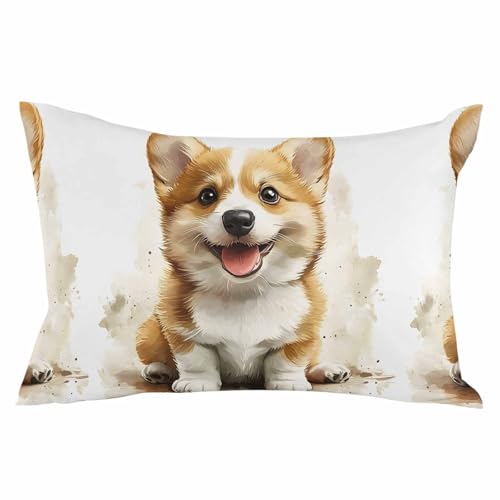 Pillowcase 12x20 Inch Cute Spring Cartoon Style 1 Soft Brushed Microfiber Pillow Covers with Hidden Zipper Closure Bed Pillow Shams for Bedroom Sofa Car, 1pcs