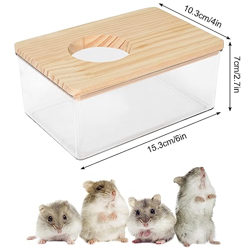Disnace Sandbad Hamster, Haustier Badewanne, Hamster Toilette, Abnehmbarer Hamster, Sand Badezimmer, Behälter Kleintier Sauna Sandkasten für Hamster Meerschweinchen Frettchen Gerbil Chinchilla (M)