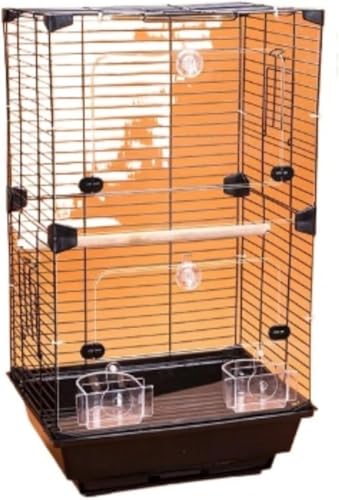 Oceanightgx |₷ |[^u ^E^E^ɓK CREIJCRp \ \ uRt t[h{Et XibvIfUC ybgpi g₷ (ANł,A)