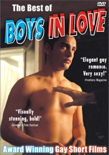 Best Of Boys In Love [Edizione: Stati Uniti]