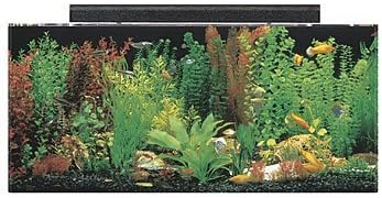 SeaClear 40 gal Acrylic Aquarium Combo Set