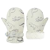 Fynnsure Toddler Mittens Lined Fleece Snow Gloves for Boys Girls Kids Winter Ski Gloves Baby Mittens Ivory white 2-4 Years