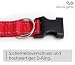 Ibera gifts - Hundehalsband Personalisiert, Hundehalsband Mit Namen Für Welpen Und Sehr Kleine Hunde oder Katzen, 22-30 cm, Reflektierend (Schwarz, XS Sehr Klein)