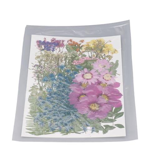Conjunto de Material de Flor Seca, Folhas Secas Prensadas, 110 Peças, Cores Brilhantes para Envelope
