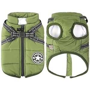 Abrigo para Perros Invierno – Clima frío Chaleco para Perros arnés Cachorro Windproof Ropa para Mascotas Invierno Ropa Abrigos Chaquetas,Verde,S