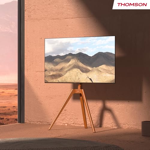 Thomson S603 - vue 8