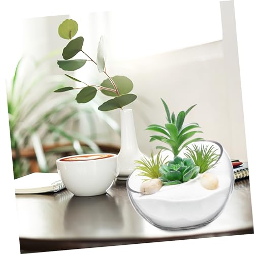 Pots de fleurs transparents pour verdir votre salon avec style - 8
