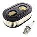 Produktbild HURI Luftfilter mit Zündkerze für Briggs & Stratton 798339 798452 593260 550 E 550 EX Eco Plus 575, Ersetzt Champion RJ19LM