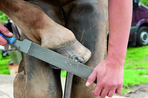 Foto von PFERD TOOLS Hufhobel, effiziente, kräfte- und rückenschonende Hufbearbeitung, 350mm, rechteckige, flachstumpfe gefräste Feile, 13180350 – auch zur Bearbeitung der Hufnägel nach dem Unterhauen geeignet