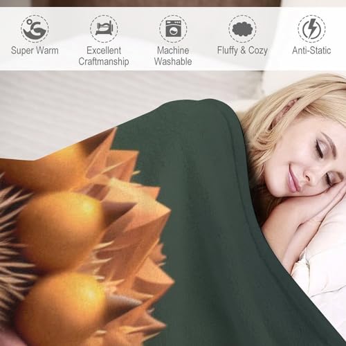 Couverture polaire hérisson douce pour vos moments cocooning sur le canapé