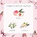 CHILLFLAME Pink Candles, Scented Candle Gift Set for Stress Relief, 3 Votive Candles for Women and Men, Birthday Candle Gifts for Women, Candles Gifts for Women (Pink, 7 oz)