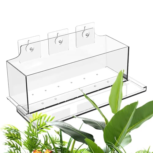 Pot de fleurs transparent avec ventouses à forte adhérence de terrasse