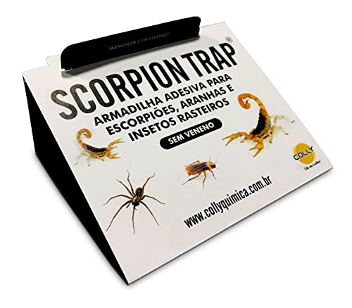 Armadilha Adesiva Para Escorpião - Scorpion Trap