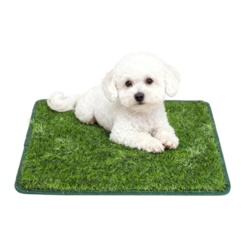 Lettiera per cani, balcone, 80 x 100 cm, per cani e erba, lavabile, per casa, allenamento, per interni ed esterni