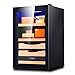 Armoire à cigares Armoire de Stockage électronique de cigares et de vins de Grande capacité à Une Porte réfrigérateur à température constante Cave à cigares