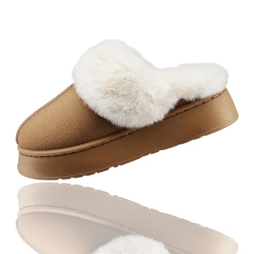 [uateeff] [gu[c fB[X  Xb| (RR×g) u[c ꃀ[g 24cm uE