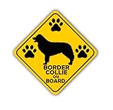 Lot de 2 autocollants Border Collie on Board - Impression en couleur et laminé - 260 mm x 260 mm - Idéal pour les amoureux des chiens et les propriétaires d'animaux à utiliser sur les voitures