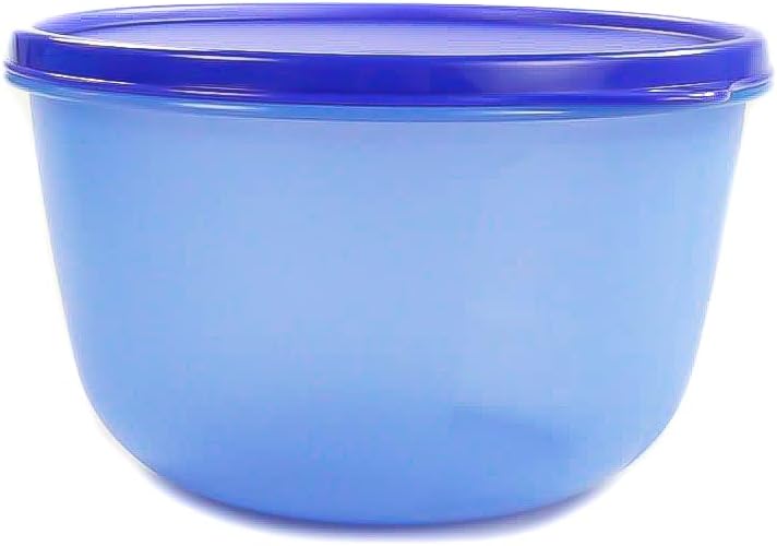 TUPPERWARE Bowl 2,0 L dark blue box for the fridge