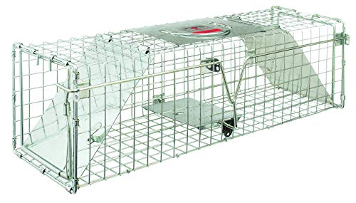 Little Giant® Double Door Live Trap | Animal Traps | Double Door Entry | 24 x 7 x 7