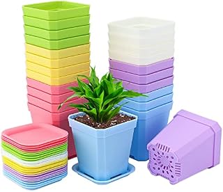 KINGLAKE 24Pcs Plastic Square Plant Pots with Trays, 7cm Thick Seed Seedling Pots, Small Coloured Nursery Flower Pots for Vegetables Cuttings Succulent Cacti