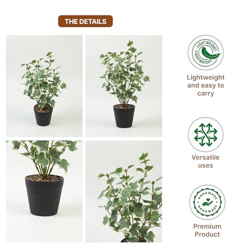 Image of Habere India-All the Cultures Fabricating India Artificial Plant with Pot for Home Decor | Fake Plants for Living Room Decoration | Artificial Plants for Decoration (Design 07; L15 x W14 X H30 cm)