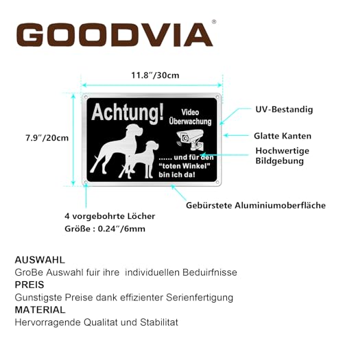 Goodvia Freilaufender Hund Videoüberwacht 30x20cm Metall Aluminium, Hunde Schilder Lustig und für den Toten Winkel Bin Ich Da