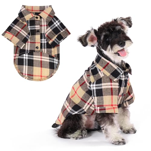 KOOLTAIL hbOVcARbgx[W`FbNybgVcA킢̃ApAI[V[YɓKKȌpTVcA^^^LAybgߑRX`[AXS