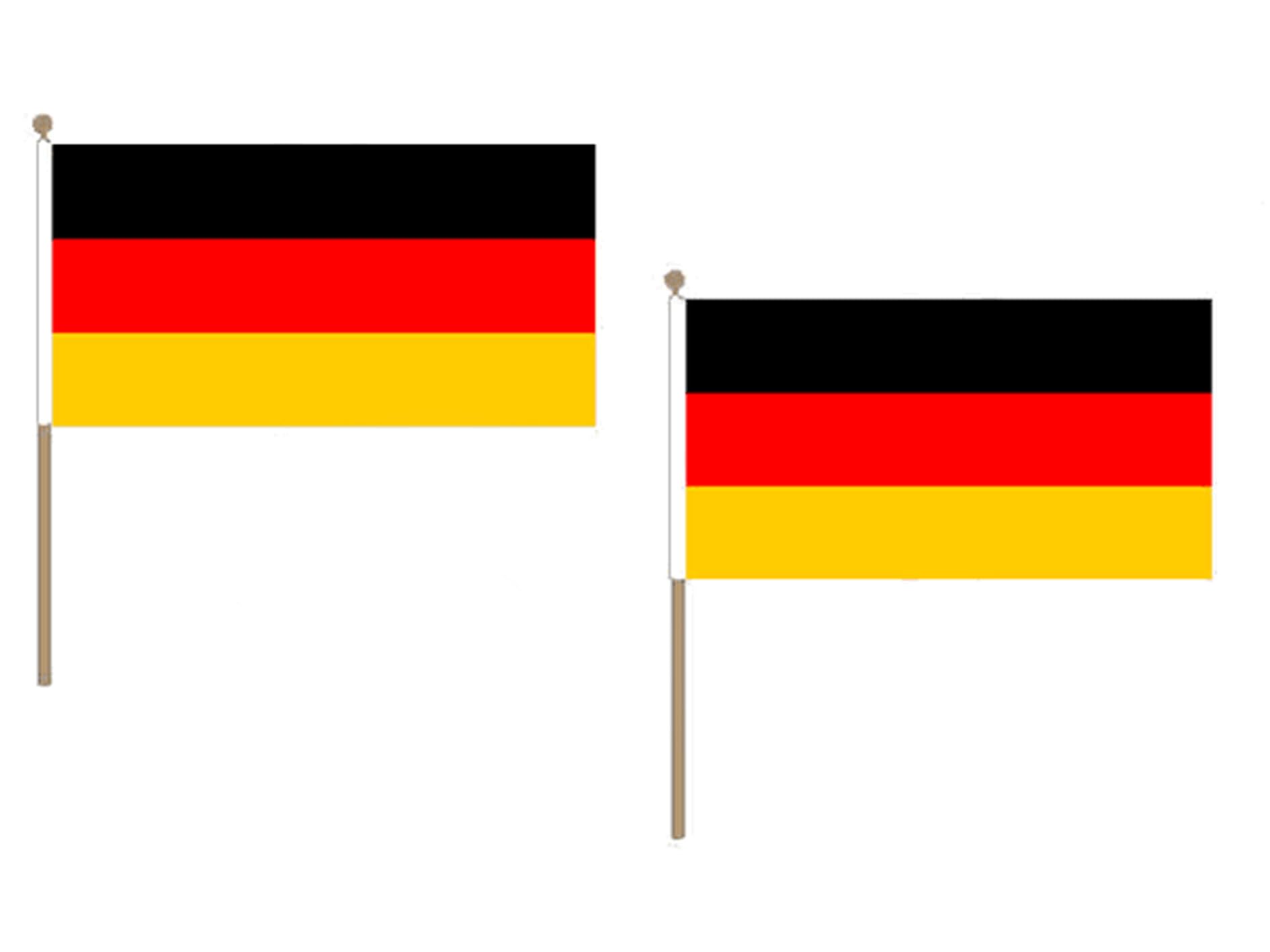 Lot de 10 drapeaux allemands 30 x 45 cm montés sur tige en bois pour défilé officiel et fête