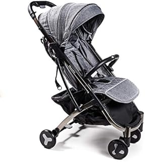 Nanetty Karibú - Silla de paseo plegable y multifuncional, unisex, color gris
