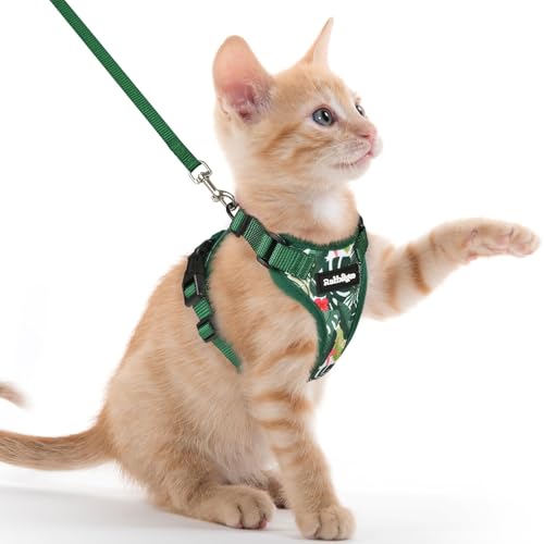 Image of rabbitgoo Cat Harness and Leash Set, Escape Proof Vest, Rainforest Green | Soft Breathable Mesh, Easy Adjustable Fit, Snap Buckles, Sturdy Clip, Reflective Strips, for Kittens & Small Cats Walks, Xxs