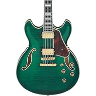 Semi Hollow-Modelle Halb-Akustik Gitarren Gitarren We emphasise a balanced combination of careful workmanship and selected materials. OUR GOAL - Your satisfaction is our top priority and takes centre stage.