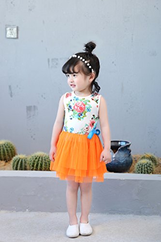 Niyage Little Girls Sleeveless Floral Princess Dress Tulle Tutu Sundress4