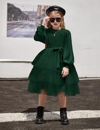 Arshiner Toddler Dress Little Girls Tutu Fall Winter Puff Long Sleeve Princess Party Tulle Dresses2