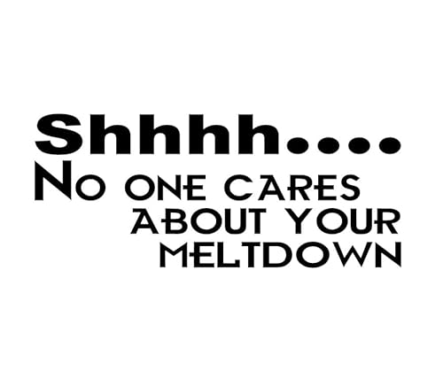 Shhhh No One Cars About Your Meltdown - Funny Adult