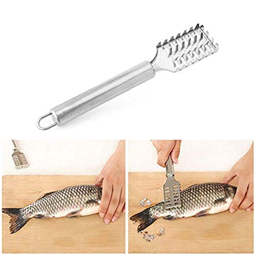 Écailleur De Poisson Acier Inoxydable - Outil Cuisine Efficace Manche Antidérapant