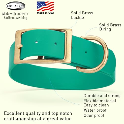 Image of Viper Biothane Heavy Duty Waterproof Dog Collar Strong Coated Nylon Webbing w /Solid Brass Hardware Odor-Proof Easy to Clean High Performance Fits Small Medium or Large Dogs, Teal