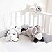 Zazu Kids Soft Heartbeat Toy Voice & Touch Activated Sound Machine Sleep Soother (DEX the Dog), Dog